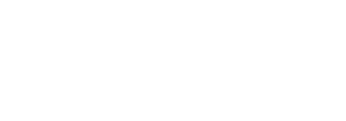 Risco Group