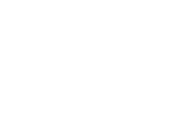 תנופורט