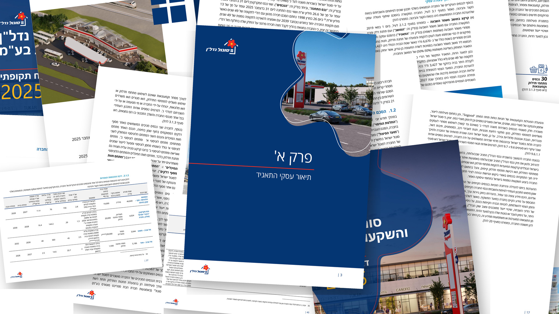 סונול נדל"ן - slide 8